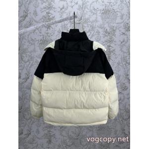 ダウンジャケットLOUIS VUITTONコピー 品 ブランド特価高品質 冬季限定販売 秋冬特別販売