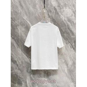 ブランド スーパー コピー 優良店LOUIS VUITTON1年中活躍する 新作スタイリッシュな 軽やかな素材感Tシャツ