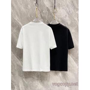 LOUIS VUITTON絶対的入手困難激レア 数量限定再入荷 2026最新入荷Tシャツブランド コピー  