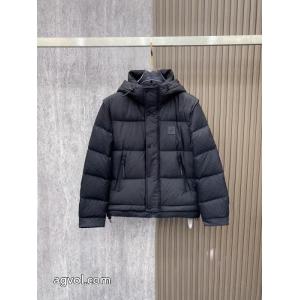 スーパー コピー 販売高級感UP おしゃれ上級者に着 優れたデザインLOUIS VUITTONダウンジャケット
