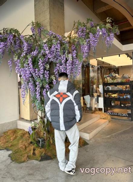 高級感の漂う逸品 素材感を引き出せるアイテム トレンド感満載ダウンジャケットLOUIS VUITTONブランド コピー 優良店 5 