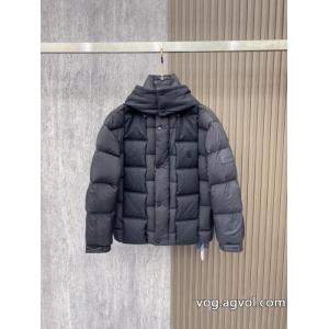 ホリデー限定 無機質さが魅力 芸能人愛用LOUIS VUITTONコピー 品 販売ダウンジャケット